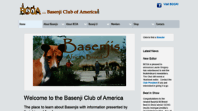 What Basenji.org website looked like in 2020 (3 years ago)