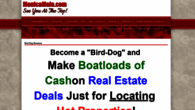 What Birddoggingopportunity.com website looked like in 2020 (3 years ago)