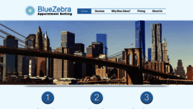 What Bluezebraappointmentsetting.com website looked like in 2020 (3 years ago)
