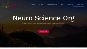 What Brneurosci.org website looked like in 2020 (6 years ago)