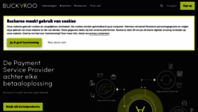 What Buckaroo.nl website looked like in 2020 (3 years ago)