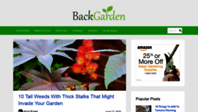 What Backgarden.org website looked like in 2020 (3 years ago)