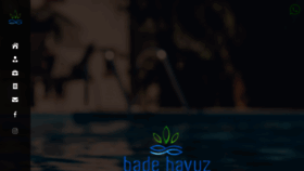What Badehavuz.com.tr website looked like in 2020 (3 years ago)