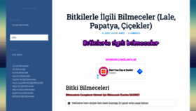 What Bilmeceler.org website looked like in 2020 (3 years ago)