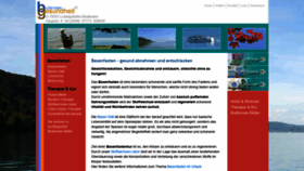 What Basenfasten-bodensee.de website looked like in 2020 (3 years ago)