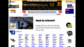What Blackstump.com.au website looked like in 2020 (3 years ago)