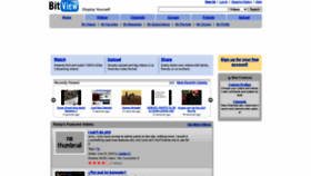 What Bitview.net website looked like in 2020 (3 years ago)