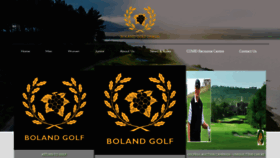 What Bolandgolf.co.za website looked like in 2020 (3 years ago)