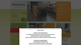 What Brabantia.pl website looked like in 2020 (3 years ago)