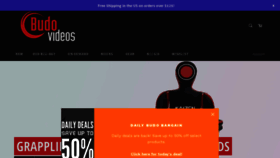 What Budovideos.com website looked like in 2020 (3 years ago)