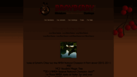 What Brayberry.net website looked like in 2020 (3 years ago)