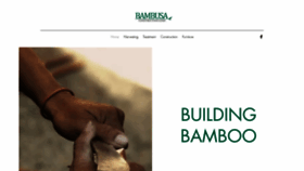 What Bambusaconstruction.com website looked like in 2020 (3 years ago)