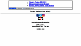 What Bisinc.com website looked like in 2020 (3 years ago)