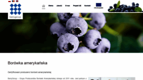 What Berrygroup.eu website looked like in 2020 (3 years ago)