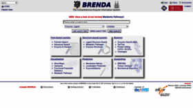 What Brenda-enzymes.org website looked like in 2020 (3 years ago)