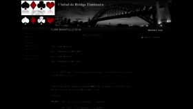 What Bridge-tm.org website looked like in 2020 (3 years ago)