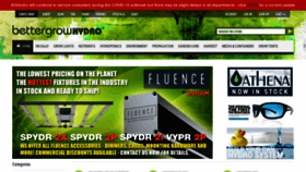 What Bghydro.com website looked like in 2020 (3 years ago)