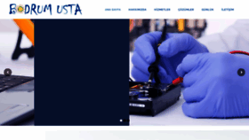 What Bodrumusta.com website looked like in 2020 (3 years ago)