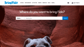 What Bringfido.com website looked like in 2020 (3 years ago)