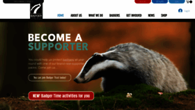 What Badger.org.uk website looked like in 2020 (3 years ago)