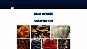 What Blueoystercultivation.com website looked like in 2020 (3 years ago)