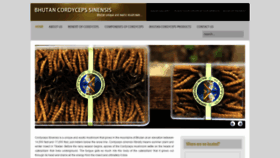 What Bhutanwildcordyceps.com website looked like in 2020 (3 years ago)