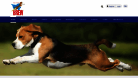 What Brewbeagles.org website looked like in 2020 (3 years ago)