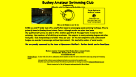 What Busheyasc.org website looked like in 2020 (3 years ago)