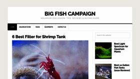 What Bigfishcampaign.org website looked like in 2020 (3 years ago)