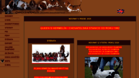 What Basset-hermelin.com website looked like in 2020 (3 years ago)