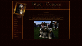 What Blackcooper.eu website looked like in 2020 (3 years ago)