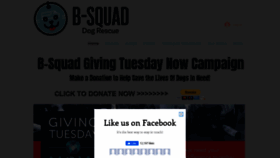 What Bsquaddogrescue.com website looked like in 2020 (3 years ago)
