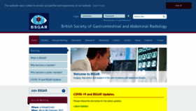 What Bsgar.org website looked like in 2020 (3 years ago)