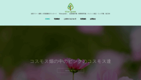 What Bluegreen.jp website looked like in 2020 (3 years ago)