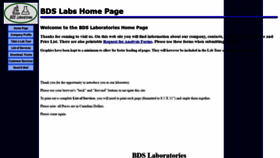 What Bdslabs.com website looked like in 2020 (3 years ago)