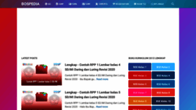What Bospedia.com website looked like in 2020 (3 years ago)