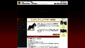 What Black-impulse.com website looked like in 2020 (3 years ago)