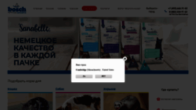 What Bosch-club.ru website looked like in 2020 (3 years ago)