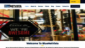 What Bluenetvista.com website looked like in 2020 (3 years ago)