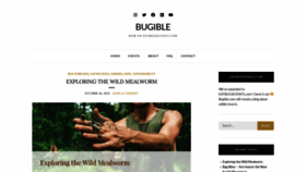 What Bugible.com website looked like in 2020 (3 years ago)