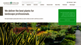 What Bamboopipeline.com website looked like in 2020 (4 years ago)