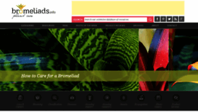 What Bromeliads.info website looked like in 2020 (3 years ago)