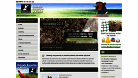 What Bazanty.pl website looked like in 2020 (3 years ago)