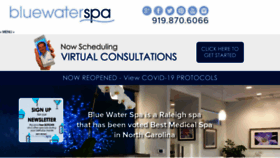 What Bluewaterspa.com website looked like in 2020 (3 years ago)