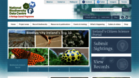 What Biodiversityireland.ie website looked like in 2020 (3 years ago)