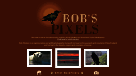 What Bobspixels.com website looked like in 2020 (3 years ago)