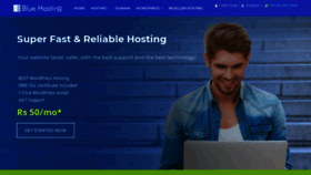 What Bluehosting.pk website looked like in 2020 (3 years ago)