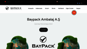 What Baypack.com.tr website looked like in 2020 (3 years ago)