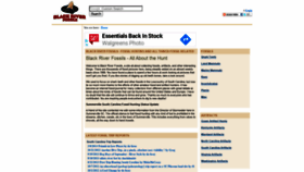 What Blackriverfossils.org website looked like in 2020 (3 years ago)