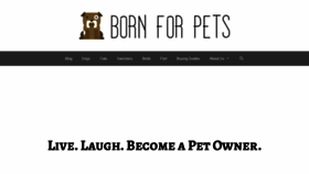 What Bornforpets.com website looked like in 2020 (3 years ago)